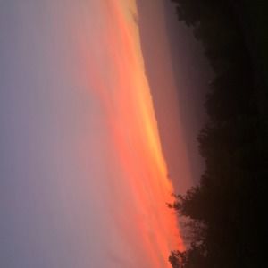 Meet your Posher, Diana